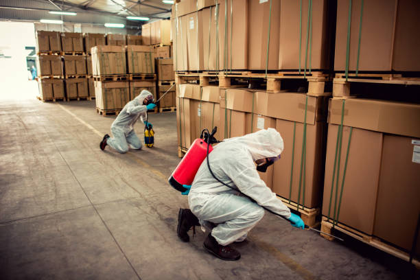 Best Mosquito Control Services  in Story City, IA